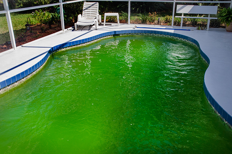 Co dělat když je zelená voda v bazénu?