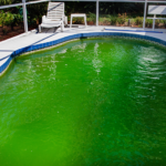 Zelená voda v bazénu: Co s takovým problémem? Máme řešení