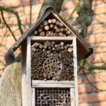 Hmyzí domeček: Jak ho postavit? Děti vám pomohou