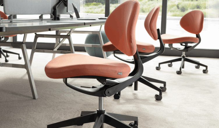 Ergonomická židle